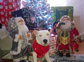 Mix bere staffy crost boxer