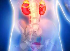 Kidney Scan