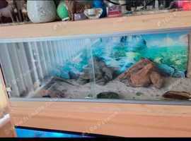 3ft oak vivarium forsale