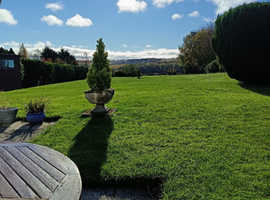 Lawn cut and hedge cutting