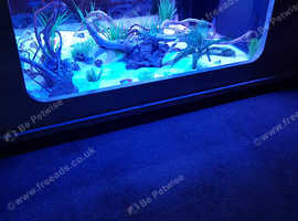 Aquatable Fish Tank and coffee table