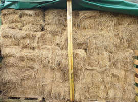 Hay For Sale Small Bale 2023