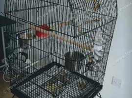 Bird/Parrot Cage