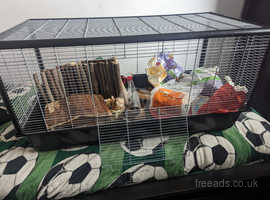 Savic plaza hamster cage
