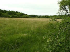 Looking for 1-5 acres of grassland to RENT , Rushden