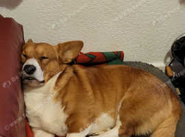 Rehoming-sold STC