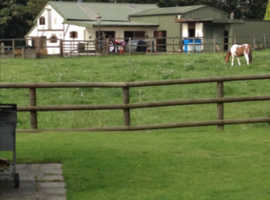 1 large full livery stable available Bury