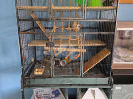Rat cage and 2 rats