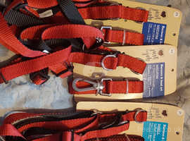 Dog collar, leads, harness
