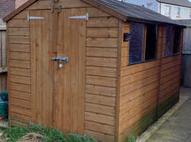 Shed 6x10ft