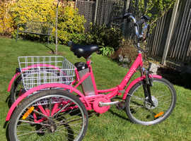 Adult Electric Tricycle