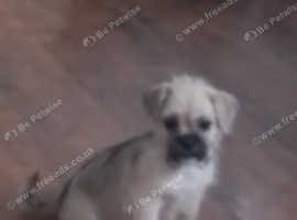 One little  boy looking for a forever home