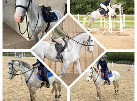 16hh