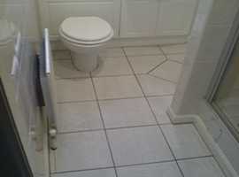 Need a neat and tidy Tiler?