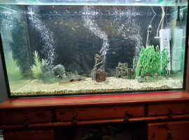 Trailer wanted swap for Aquarium