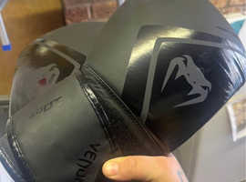 Dragon Free Stand Punch Bag with Venom Gloves!