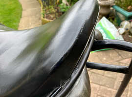 Silhouette black saddle