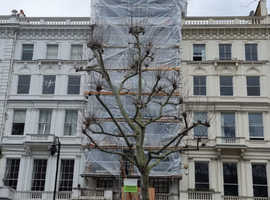 Scaffolding  services