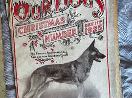 Vintage dog magazines