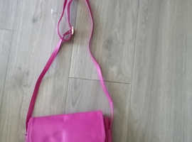 REDUCED Shocking Pink clutch or shoulder bag