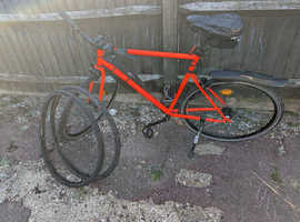 ELOPS 500 Single Speed XL Model