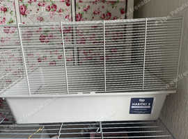 Hamster cage
