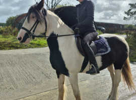 15.1hh happy hacking dream ride and drive!