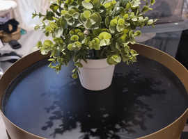 FAUX plant bushy in white pot