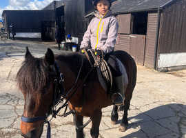 Pony Wanted