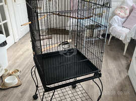 Bird cage free