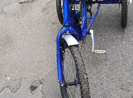 Trike bike £370