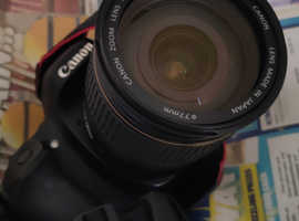 Canon 80d with the Canon IS USM 17-55mm lens