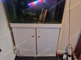 Fish tank