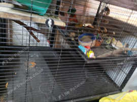 ferret/rat cage for sale