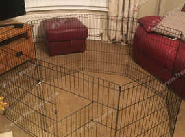 Dog kennel outlet gateshead