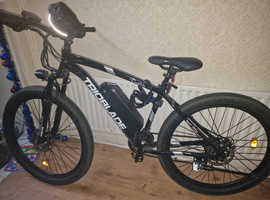 Beautiful electric bike