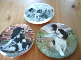 Plates featuring dogs