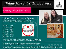 Professional Mobile Cat microchipping service