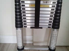 Telescopic ladder