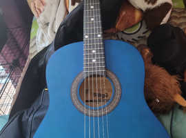 Acoustic Guitar