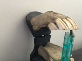 1920s pony nose teeth partial jaw