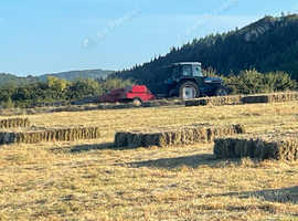 Small bale meadow hay - £4.50