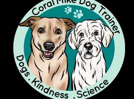 Qualified Modern Dog Trainer