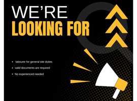 Looking for CSCS Handyman - EC3V, London - Start ASAP
