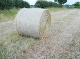 New baled hay surplus to requirements