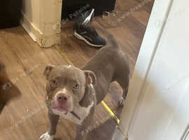 URGENT rehoming