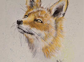 watercolour original painting of fox