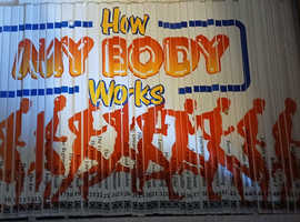 HOW MY BODY WORKS EDUCATIONAL BOOKS