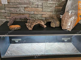 Vivarium set up