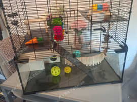 Glass pawhut cage